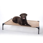 K&H Outdoor elevated dog bed on patio for cooling comfort