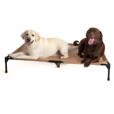 K&H Pet Products jumbo frame elevates giant dogs for cooling outdoors