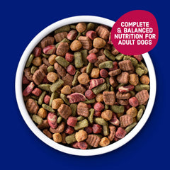 Kibbles 'n Bits Bistro adult dog meal serving demonstrates versatile portions for all sizes.