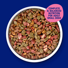 Kibbles 'n Bits Bistro Mini Bits apple flavor close-up, adds tasty variety for picky eaters.
