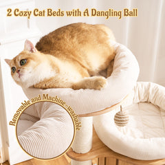 Kicari cardboard scratcher surface shown as a budget scratch outlet.