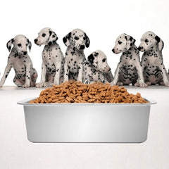 Kichwit 14x10.5x4 inch size provides ample feeding space.