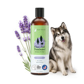 kin+kind Dog Shampoo bottle label signals vet-formulated, plant-powered care for fleas and ticks.