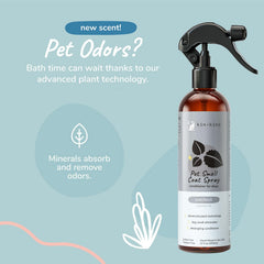 kin+kind patchouli spray bottle on a dog coat delivering earthy, calming scent