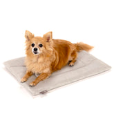 KindTail Dog Crate Pad in soft velvet for a cozy small-pet lounge