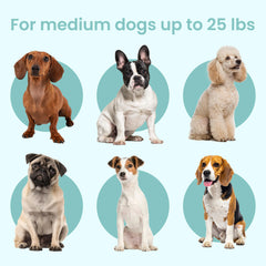 KindTail PAWD crate folded flat for easy storage and travel portability.