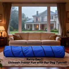 Kinetovolta dog tunnel 10-foot length fits many breeds for confident runs.
