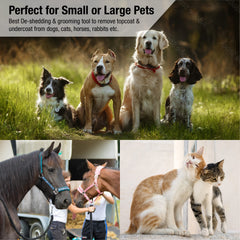 King Kanine deshedding brush on dog fur removal during brushing