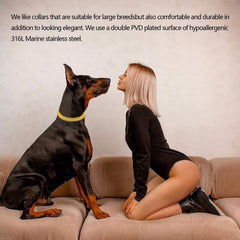 Kingoldogs gold chain collar uses reliable pull-tightening for controlled outdoor use.
