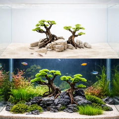 KINGRUI safe resin decor is non-toxic for fish and plants.