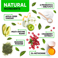 Kinpur cranberry probiotics blend highlights a healthy gut-supporting formula for dogs.