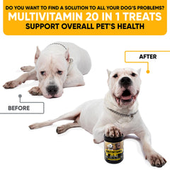 Kinpur Dog Multivitamin Chews label closeup shows core vitamins and minerals.