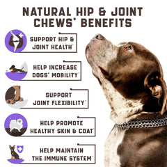 Kinpur Pet Care duck-flavored soft chews close-up, tasty and easy to chew.