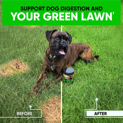 Kinpur urine neutralizer lawn bottle shows a yard-friendly solution for cleaner grass.