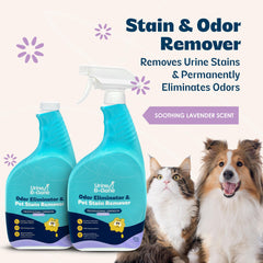 Kinzua Environmental Urine B-Gone pour action for easy stain application