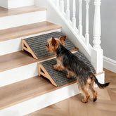 KISIMUY dog ramp with assembly-free setup for instant use.