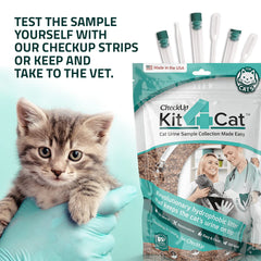 KIT4CAT cat using litter in a calm home setting for sampling.