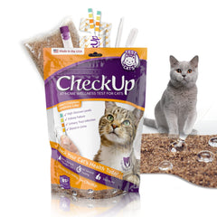 KIT4CAT CheckUp packaging box for at-home wellness kit—easy to store.