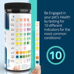 KIT4CAT color-chart reading highlights key health indicators in seconds.