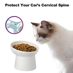 KITCHENLESTAR backflow prevention cat bowl designed for easy swallowing posture