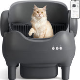 KITPLUS open-top self-cleaning litter box designed for easy entry and larger cats