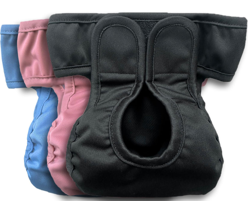 Kitty BumBums reusable cat diaper with adjustable tabs on a cat for a secure, comfortable fit.