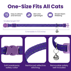 Kitty Kompass collar silhouette on a relaxed cat for everyday comfort.