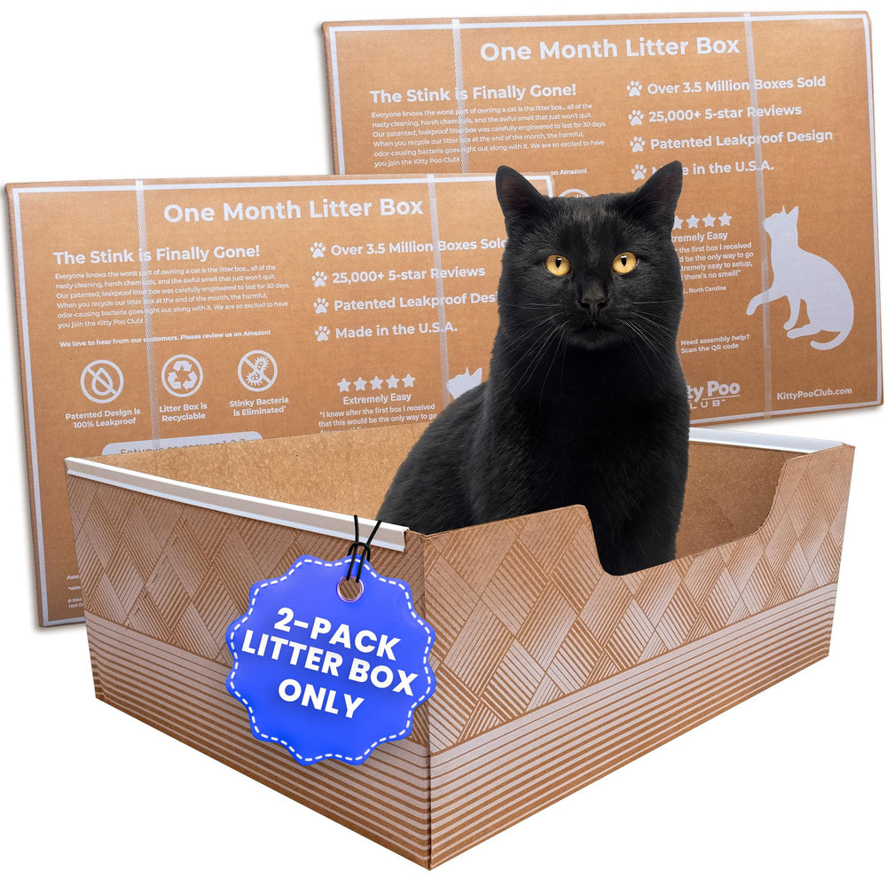 Kitty Poo Club leakproof 2-pack box open for mess-free setup