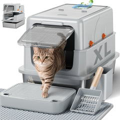 KittyLetto stainless steel XL litter box with closed lid for privacy and containment.