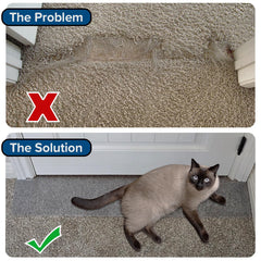 KittySmart side-wing corners reinforce doorframe edge protection.