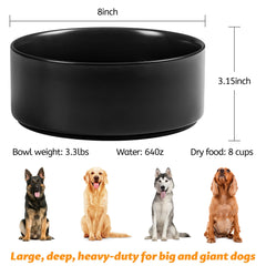 Kitwinney heavy, stable bowl prevents spills during feeding