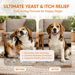 KIVORI yeast infection drops on paw area to support gentle relief.
