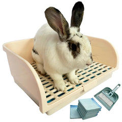 Kiwi & Mora Rabbit Litter Box front view; extra-large, reduces spills and keeps floors clean.
