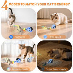 KiwiLove Interactive Toy Quick Mode blue boosts spontaneous chasing and activity.