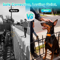 KJKZO versatile training modes for tailored dog training