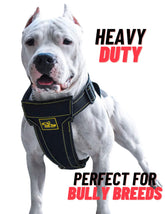 KNK heavy-duty dog harness for Pitbulls with secure, durable design for daily training.