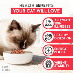 Know Better Premix finished meal in a bowl for cats.