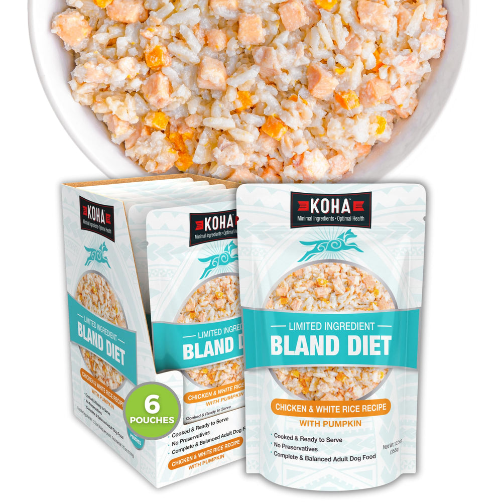 Koha Bland Diet dog food can serving, ready to support gentle digestion