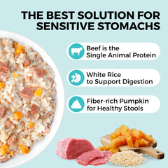 KOHA Bland Diet close-up shows beef texture and rice for easy digestion