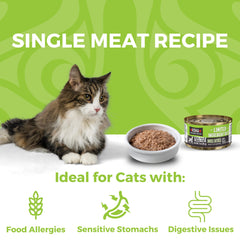 KOHA Duck Pate serving bowl demonstrates portion-friendly meal for daily cat feeding.