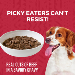 KOHA moisture-rich gravy closeup β savory texture enhances palatability and hydration.