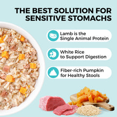 KOHA Pet Bland Diet serving bowl with moist texture for mealtime.