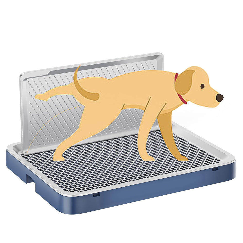 Kola Panda indoor dog potty tray blue with ample space for small dogs and easy cleanup.