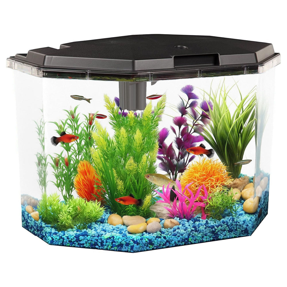 Koller AP650 aquarium front view with LED lighting for immersive home viewing.