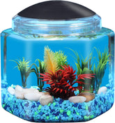 Koller Products BettaTank LED lighting with seven color options for a vibrant 1-gallon habitat.