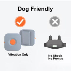 Kona Clip receiver on dog collar shows discreet, gentle vibration cue