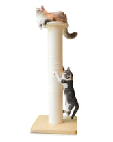 KONELCARE 50-inch tall cat scratching post provides elevated play and sturdy support for large cats.