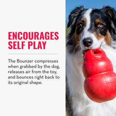 KONG Bounzer XL unpredictable bounce enhances outdoor fetch games