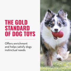 KONG Classic red rubber design shown for durable chewing.