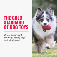 KONG Classic Stuffable Toy is dishwasher-safe for easy cleanup after slobbery sessions.